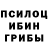 Псилоцибиновые грибы Cubensis Dato Ositashvili