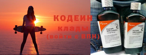 хмурый Мегион