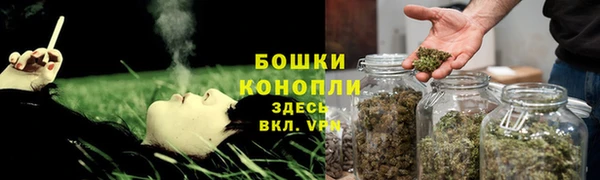 хмурый Мегион