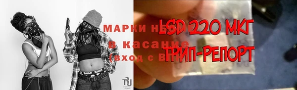 хмурый Мегион