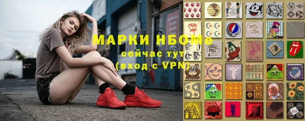хмурый Мегион