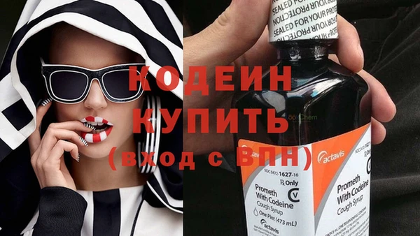 хмурый Мегион